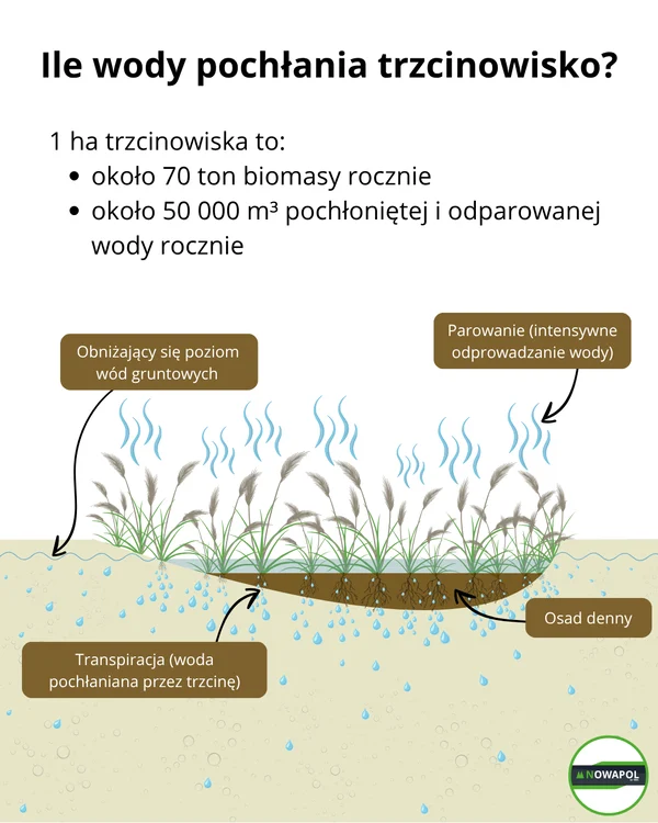 ostateczna wersja (4)